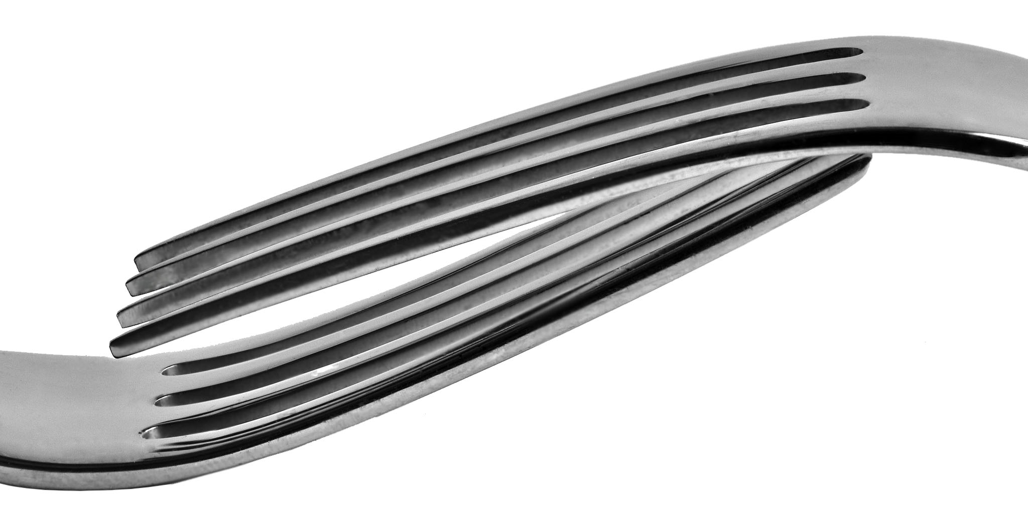 FRONT PAGE FORKS TransBgHorFlip copy copy.jpg